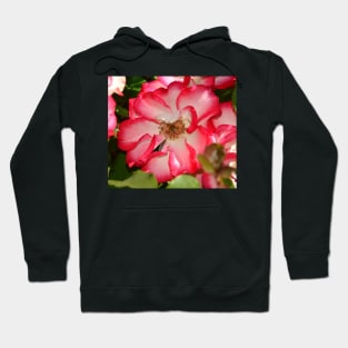 Flower beautiful Hoodie